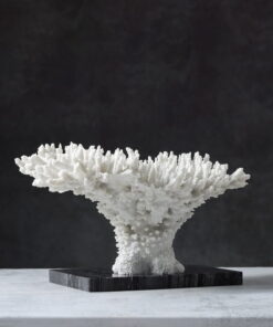 Tượng San Hô Trắng Nghệ Thuật