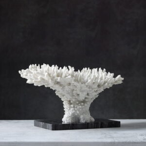 Tượng San Hô Trắng Nghệ Thuật - Công Decor