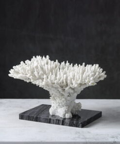 Tượng San Hô Trắng Nghệ Thuật